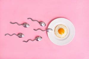 sperma verbeteren eicel bevruchting